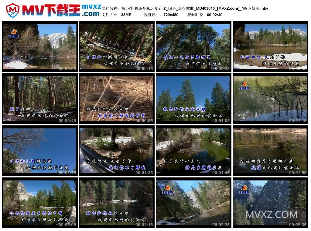 杨小萍-我还是永远爱着你_国语_流行歌曲_MD403013